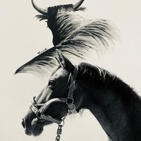 Gites Equestres Lou Caloun - Les Saintes Maries De La Mer Экстерьер фото