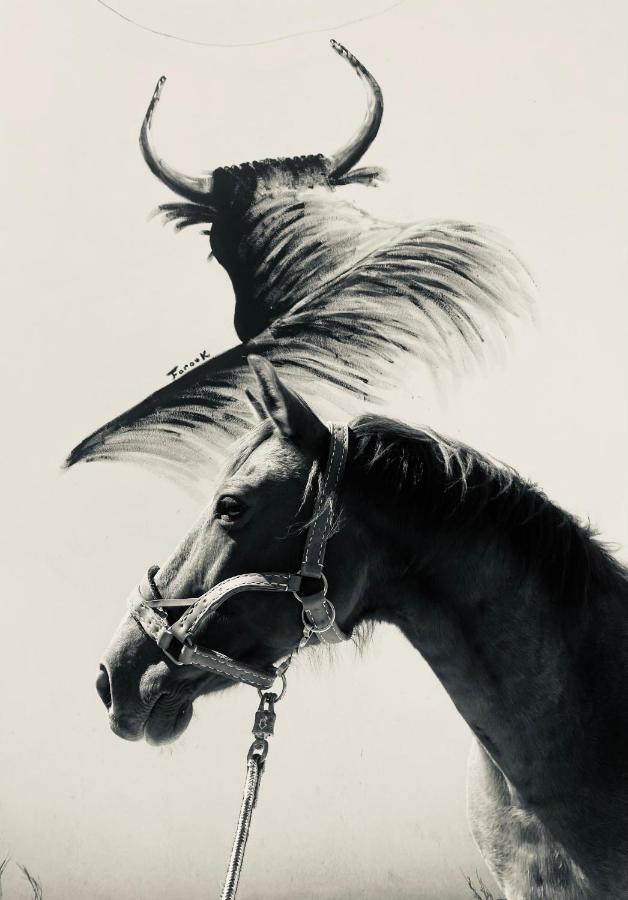 Gites Equestres Lou Caloun - Les Saintes Maries De La Mer Экстерьер фото