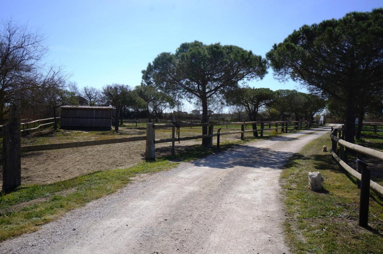 Gites Equestres Lou Caloun - Les Saintes Maries De La Mer Экстерьер фото