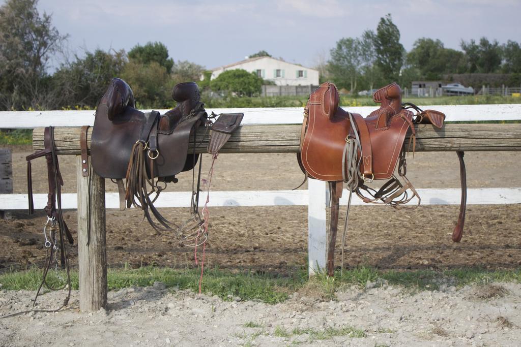 Gites Equestres Lou Caloun - Les Saintes Maries De La Mer Экстерьер фото