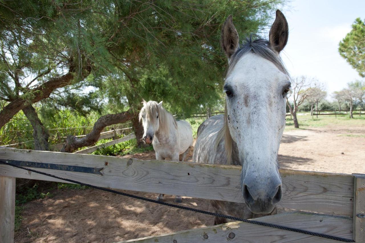 Gites Equestres Lou Caloun - Les Saintes Maries De La Mer Экстерьер фото